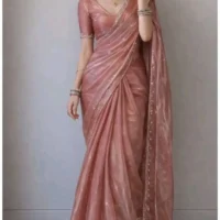 Jimmy Choo organza saree