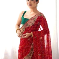 Satrani Printed, Embroidered, Embellished Bandhani Georgette, Lace Saree1